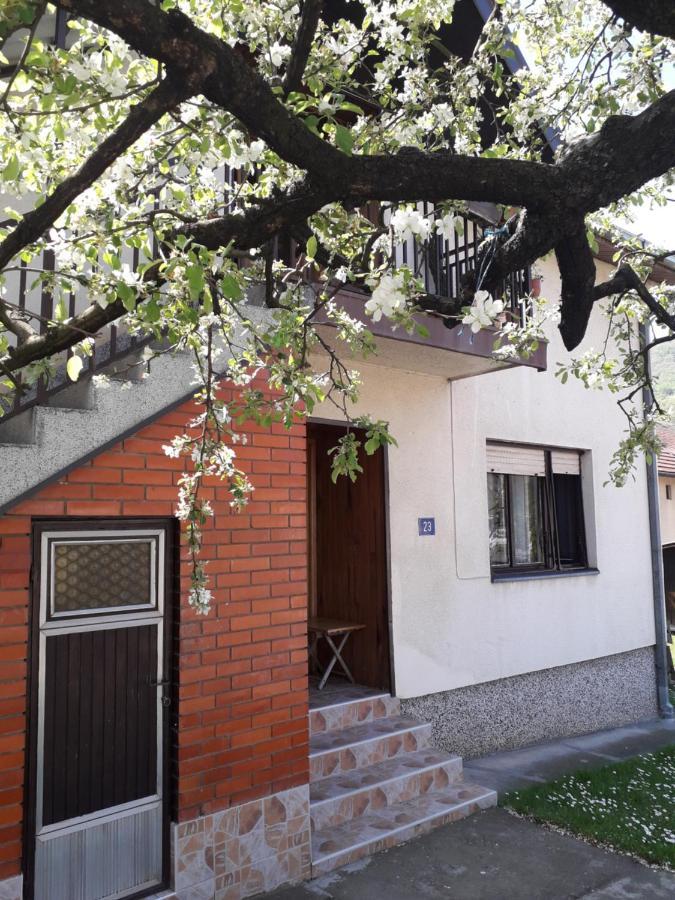 Rakic Apartman Bajina Basta Exteriör bild